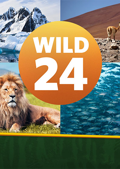 Wild 24 S01 AD-TV 1080 l  سلسلة الوثائقي البرية 24 2014 الموسم الاول مدبلج -- Seeders: 2 -- Leechers: 0